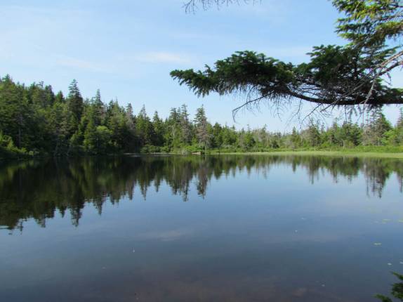 Lago no alto do Acadia National Park, no Maine - Estados Unidos